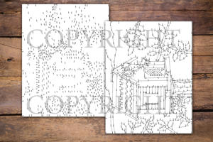 Dot to Dot Bird Houses for Adults