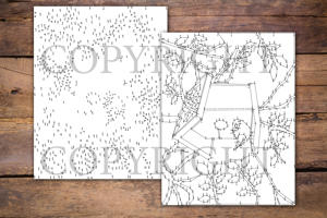 Dot to Dot Bird Houses for Adults