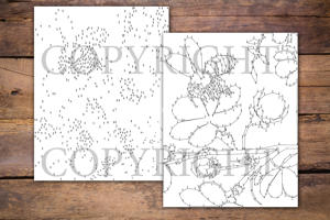 Dot to Dot Bees for Adults