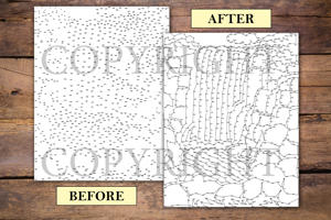 Dot to Dot Waterfalls for Adults