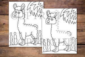 Llama Dot to Dot Book for Kids