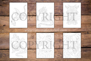 Baby Dragons Coloring Book for Adults