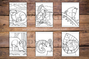 Woodland Animals Big and Bold Coloring Book