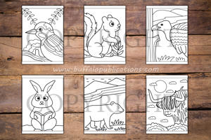 Woodland Animals Big and Bold Coloring Book