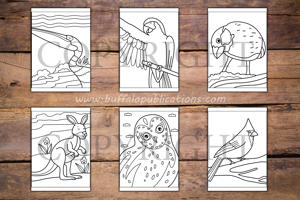Woodland Animals Big and Bold Coloring Book