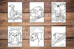 Woodland Animals Big and Bold Coloring Book