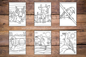 Woodland Animals Big and Bold Coloring Book