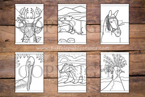 Woodland Animals Big and Bold Coloring Book