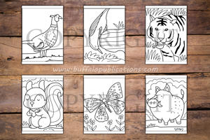 Woodland Animals Big and Bold Coloring Book