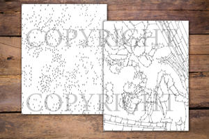 Dot to Dot Ninjas for Adults
