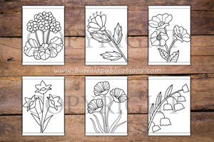 Flowers Big and Bold Coloring Book