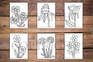 Flowers Big and Bold Coloring Book