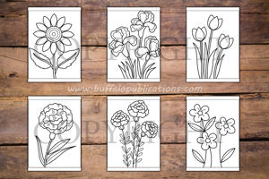 Flowers Big and Bold Coloring Book