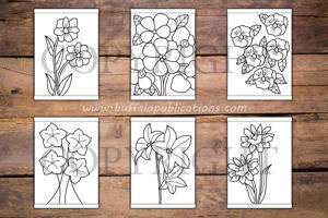 Flowers Big and Bold Coloring Book