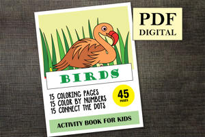 Birds Activity Book for Kids