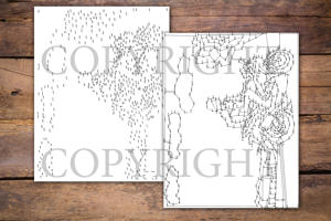 Dot to Dot Sports Bikes for Adults