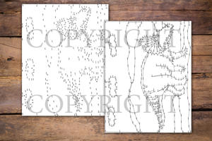 Dot to Dot Dinosaurs for Adults