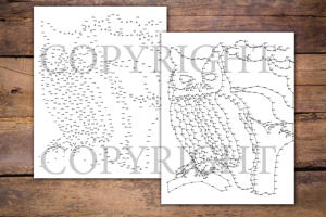 Dot to Dot Cute Owls for Adults