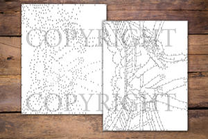 Dot to Dot Martial Arts for Adults