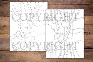 Dot to Dot Martial Arts for Adults