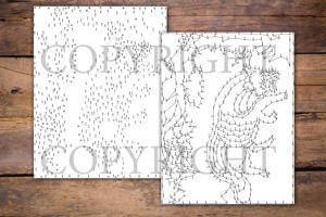 Dot to Dot Rainforest Animals for Adults