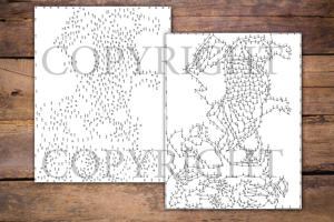 Dot to Dot Rainforest Animals for Adults