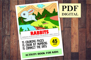 Rabbits Activity Book for Kids