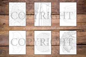Anatomy Coloring Book for Adults
