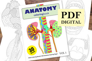 Anatomy Coloring Book for Adults