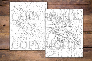 Dot to Dot Fairies for Adults