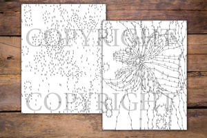Dot to Dot Fairies for Adults