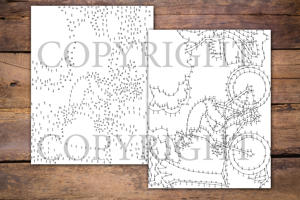 Dot to Dot Bicycle for Adults