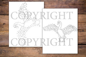 Dot to Dot Birds for Adults