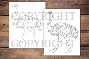 Dot to Dot Birds for Adults
