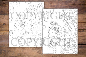 Dot to Dot Flying Animals for Adults