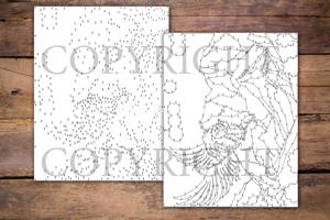 Dot to Dot Flying Animals for Adults