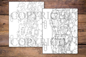Dot to Dot Roller Coasters for Adults