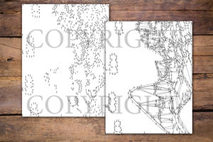 Dot to Dot Roller Coasters for Adults