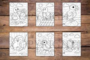 Birds Color By Numbers Book for Kids