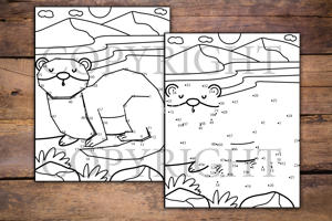 Woodland Animals Dot to Dot for Kids