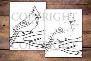 Woodland Animals Dot to Dot for Kids