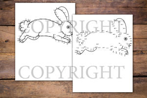 Rabbits Dot to Dot Book for Kids