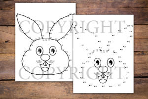 Rabbits Dot to Dot Book for Kids
