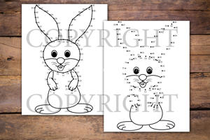 Rabbits Dot to Dot Book for Kids