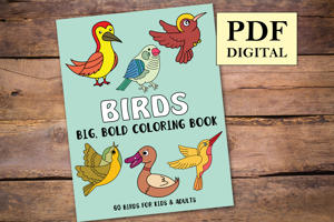 Birds Big and Bold Coloring Book
