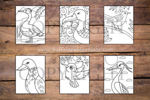 Birds Big and Bold Coloring Book