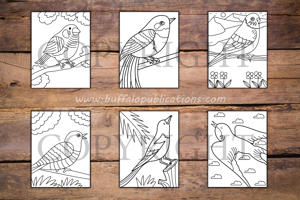 Birds Big and Bold Coloring Book
