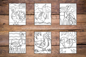 Birds Big and Bold Coloring Book