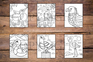 Birds Big and Bold Coloring Book