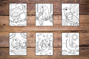 Birds Big and Bold Coloring Book